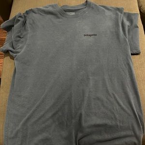 Patagonia mens tshirt